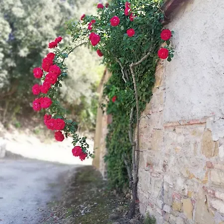 Case Di San Isidoro *